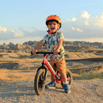 Bicicleta De Equilibrio Ajustable Para Niños